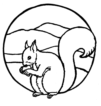 LOGO HERE